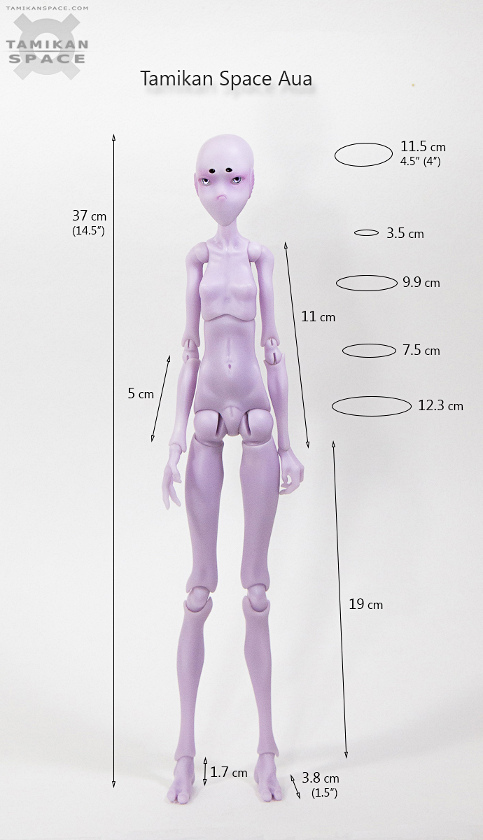 Tamikan Space Aua measures