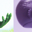 Tamikan Space One Little Reptiloidʼs model