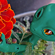 Gorn Little Reptiloid