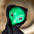 Tamikan Space One Little Reptiloid, Krypton tint