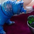 Tamikan Space Pet Tardigrade at home