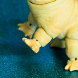 Hippie Tamikan Space Pet Tardigrade