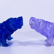 WaveMe and Syringita Tardigrades