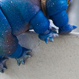 Tamikan Space Pet Tardigrade on a walk