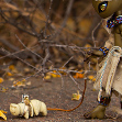 Nibiru Reptiloid lady and Metallic Mummy Little Alien's TinyTardies on a walk